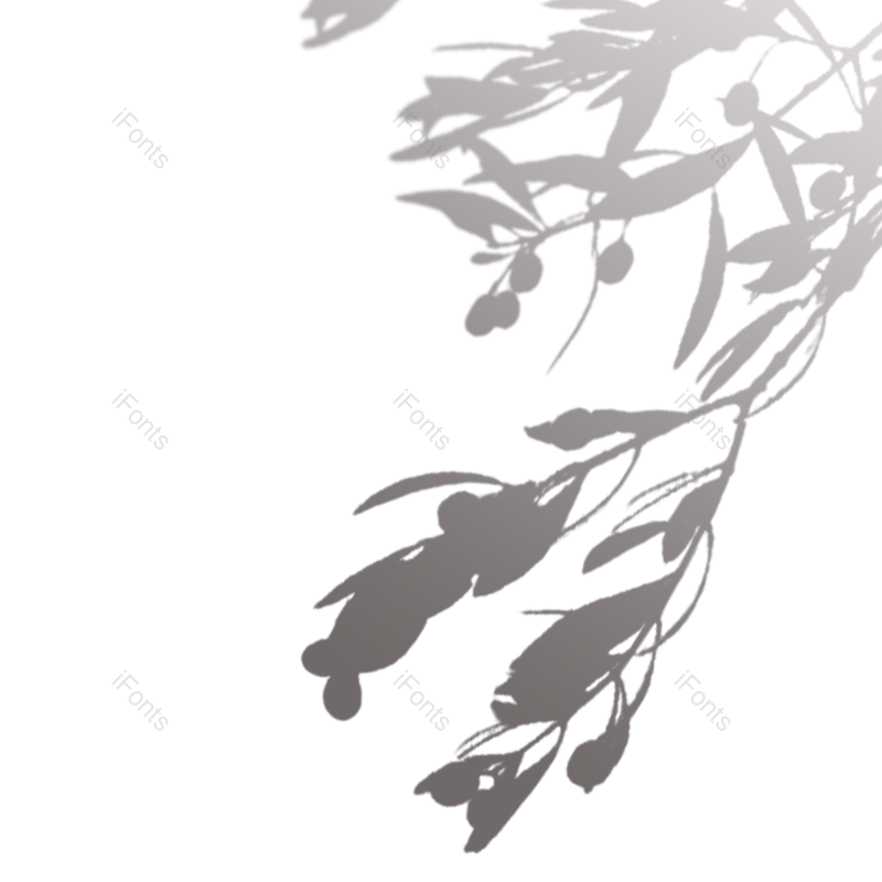 叶子图片,树叶元素,阴影PNG,灰色免抠素材